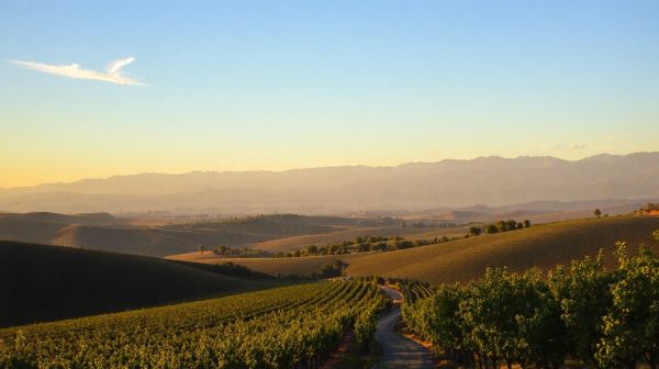 Transformez vos projets d'énergie avec l'expertise Cozynergy en Bourgogne-Franche-Comté